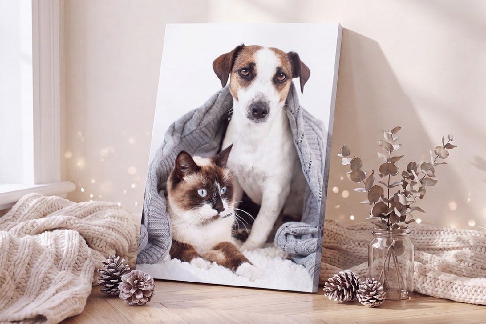 Retractable Banners